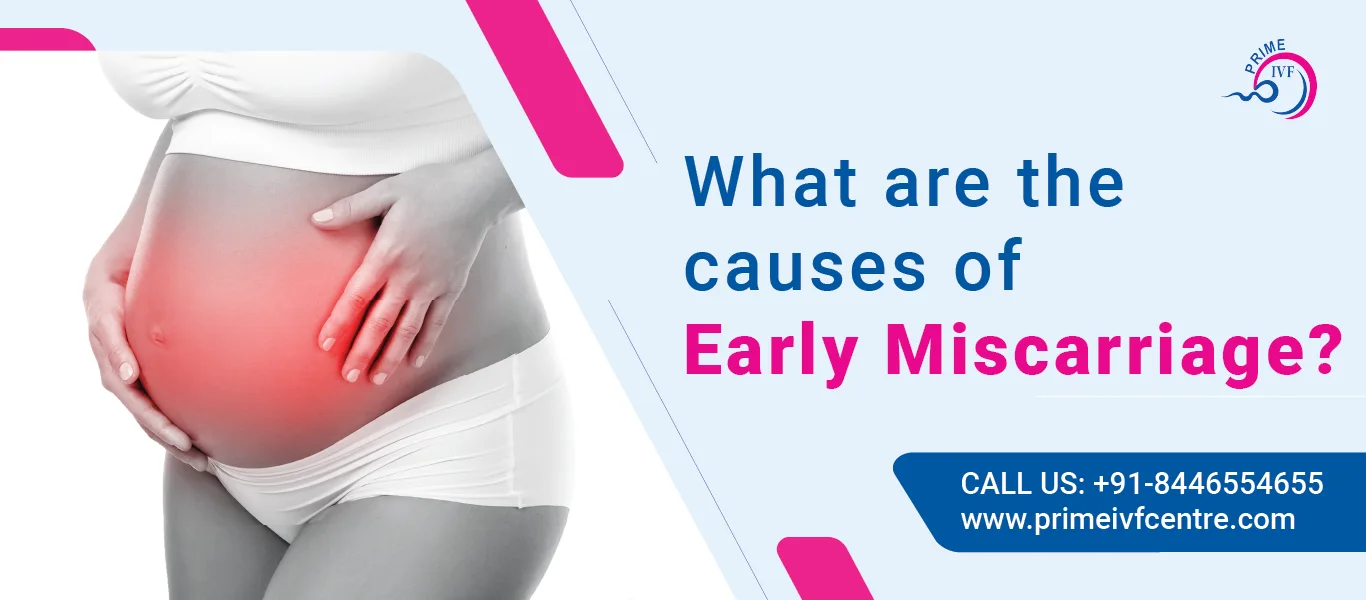 Early Miscarriage: What Are The Causes?