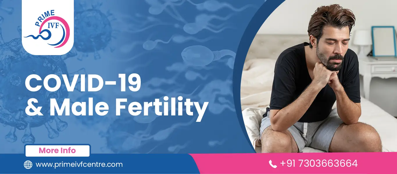 Does Covid-19 Affect Male Fertility?