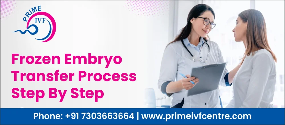 Frozen Embryo Transfer Process Step By Step