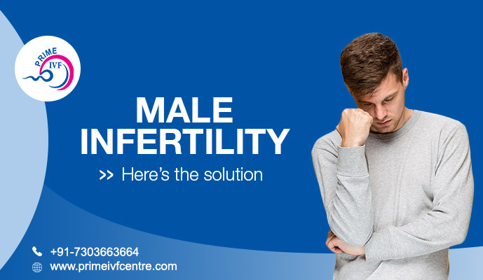 Male Infertility: What Are Treatment Options Available
