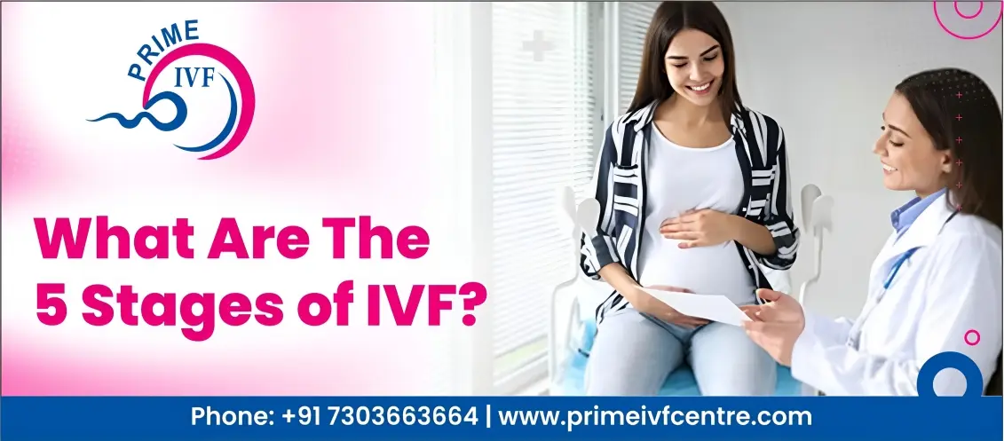What Are The 5 Stages of IVF?