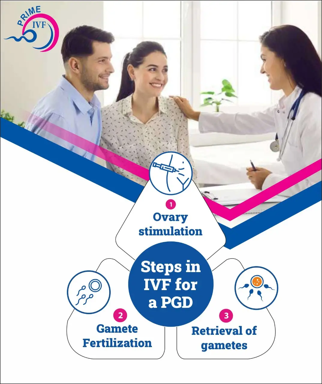 Steps in IVF for PGD