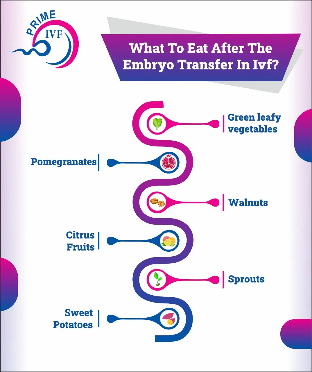 What to eat After Embryo Transfer in IVF
