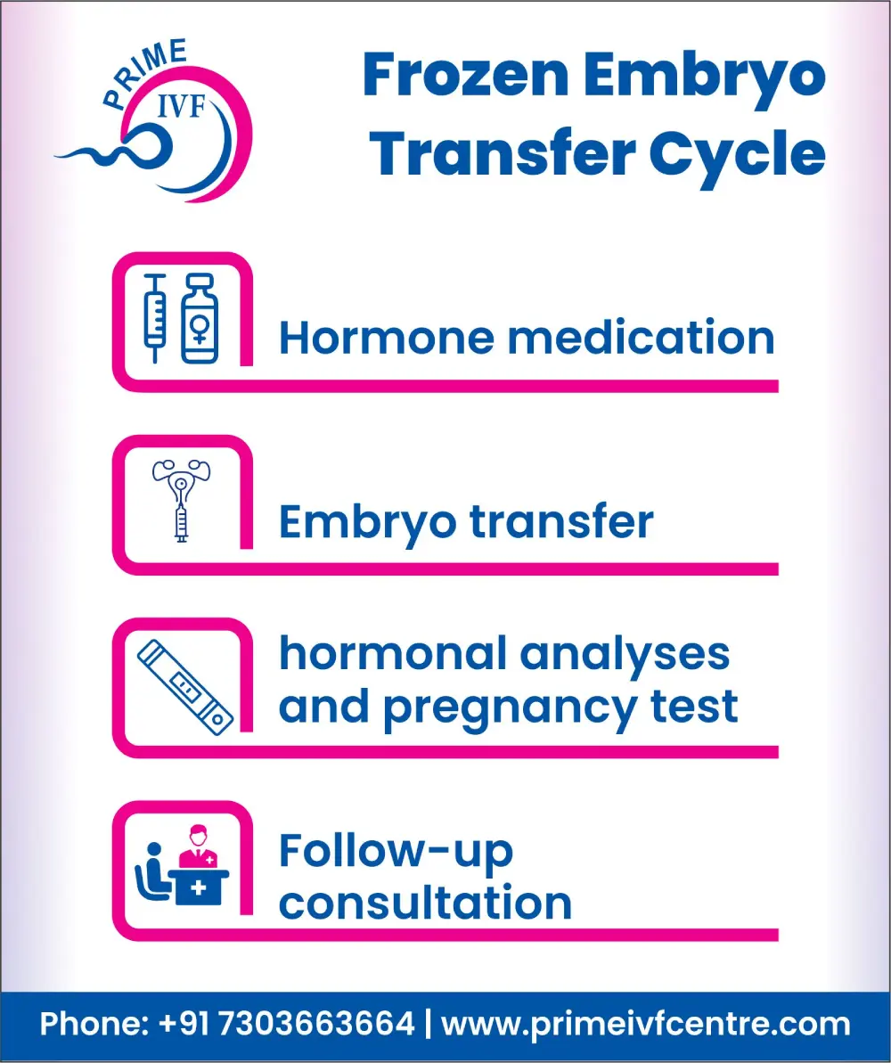frozen-embryo-transfer-process-step-by-step