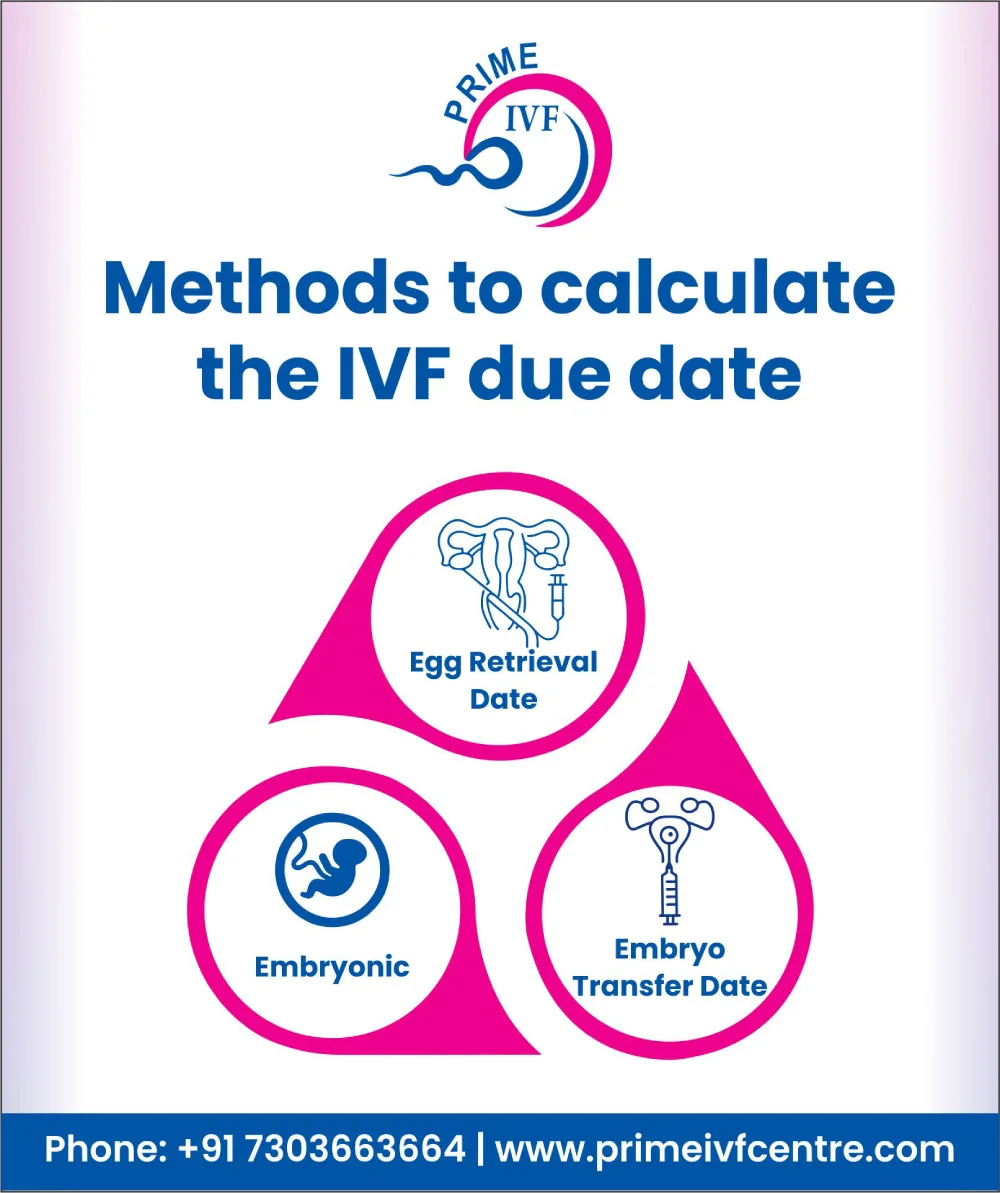 how-is-the-ivf-due-date-calculated