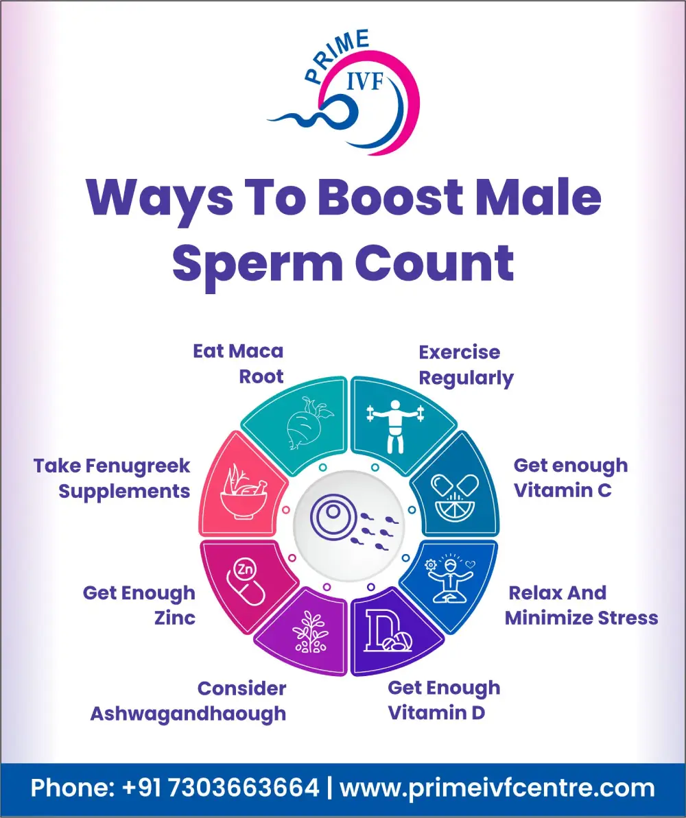 How To Get The Best Sperm Sample For Ivf Tips To Boost Sperm Count